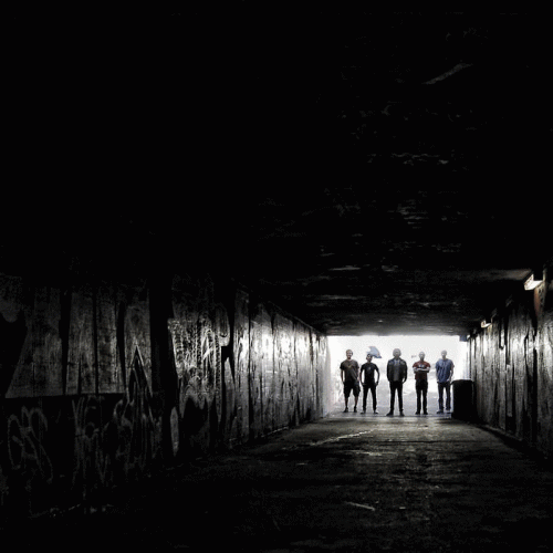 Affective Insanity : Travellers